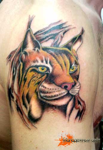 татуировки тигров