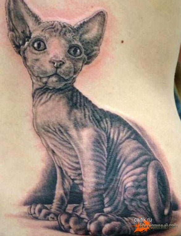 Фото, значение в магии татуировки " Кот. Кошка. Котенок. " - Страница 3 Koshka-tatu4