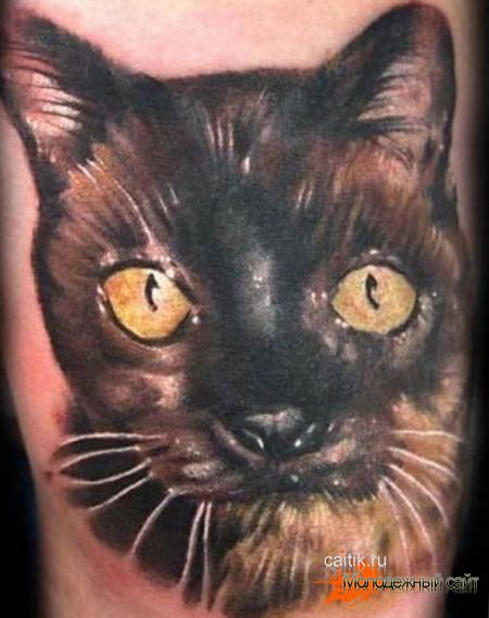татуировки кошек