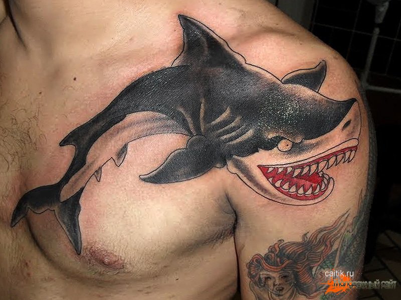  акулы тату
