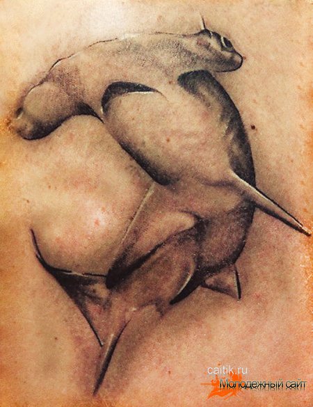 татуировка акулы-молот