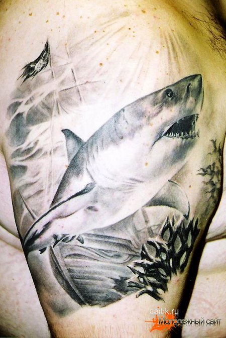 Татуировка акула