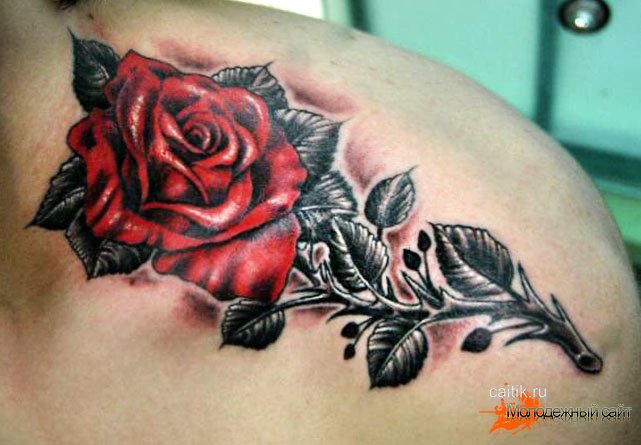 татуировки роза