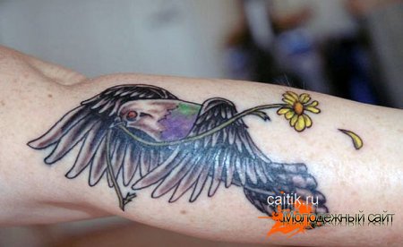 Татуировка голубь
