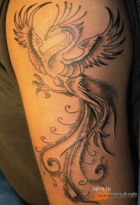 Татуировка феникс