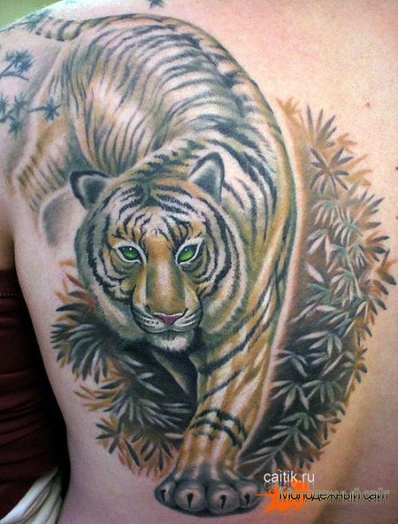 татуировка тигр на спине
