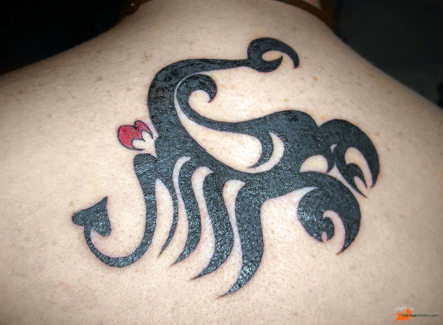 трайбл татуировка скорпион