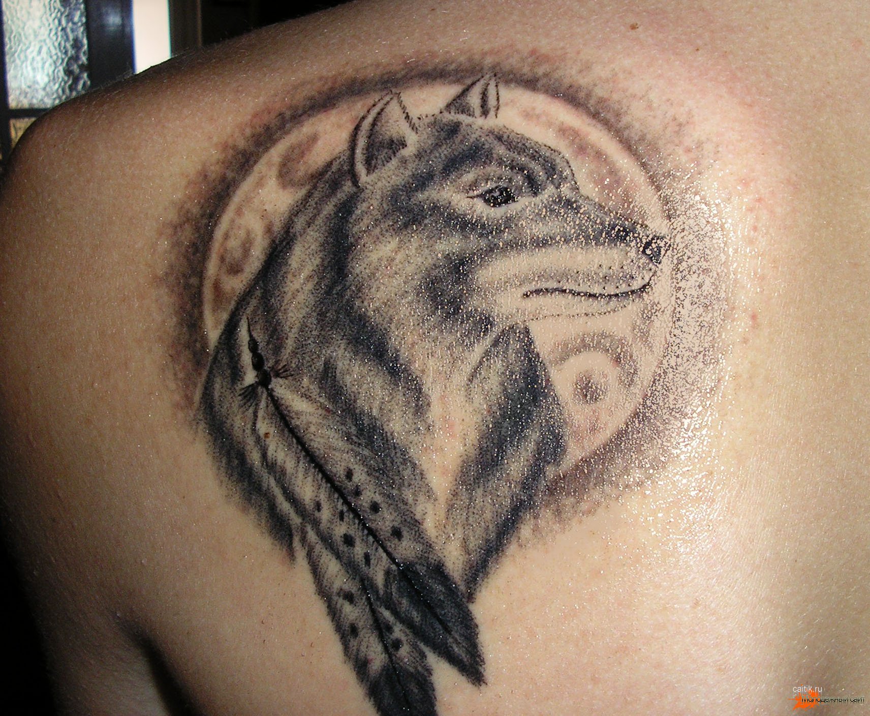 Основные значения татуировок с волком