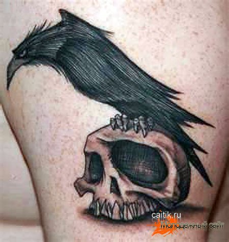 татуировка ворон сидящий на черепе