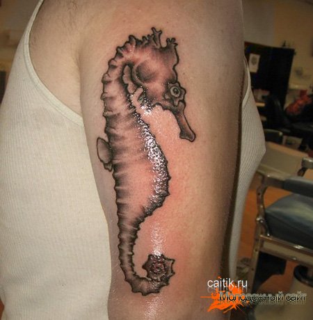 татуировка морской конёк стилизованная