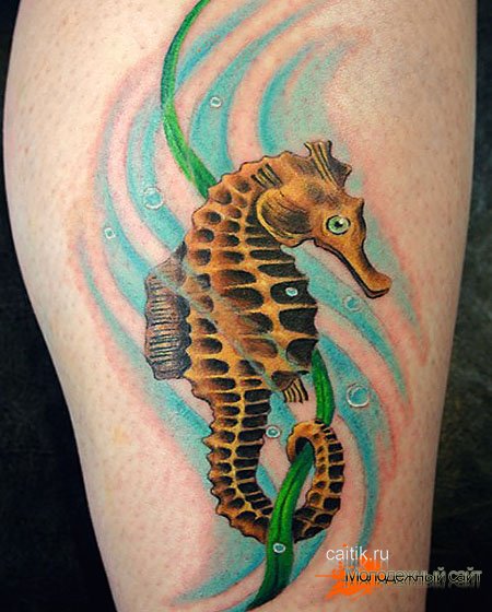 Татуировка морской конёк