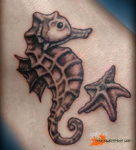 татуировка морской конёк с звездой