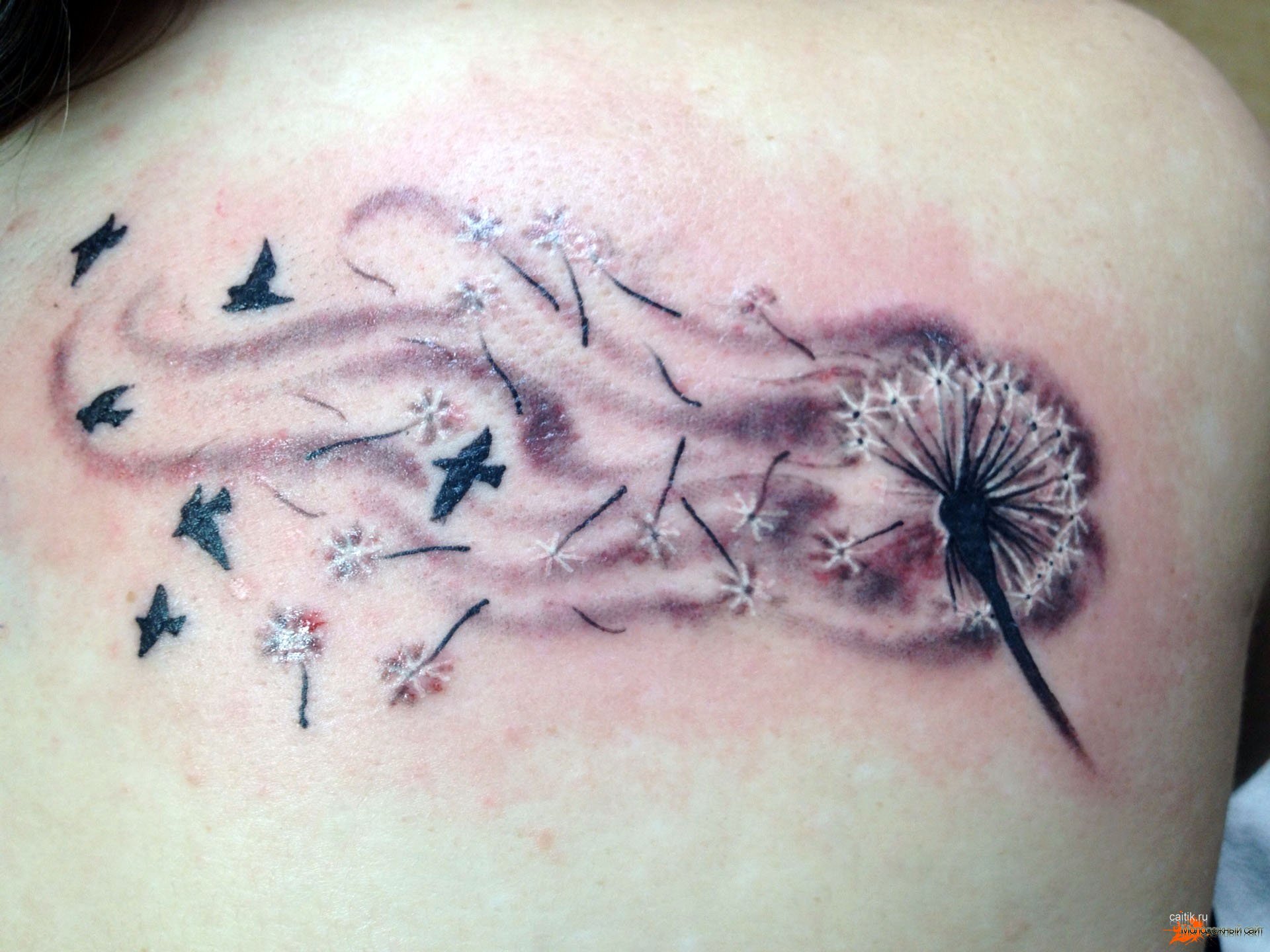 Dandelion tattoo with birds