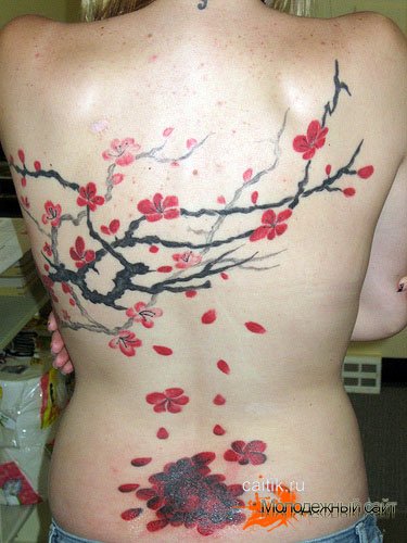 татуировка сакура на спине