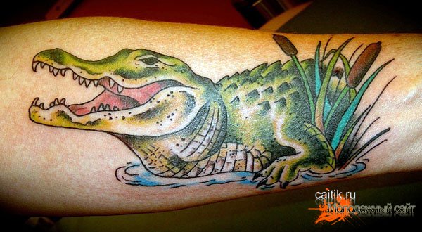 татуировка крокодил
