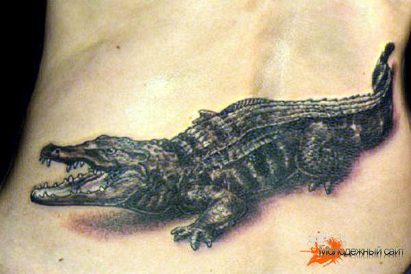 татуировка аллигатор