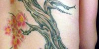 татуировка цветущее дерево