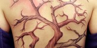татуировка дерево на спине