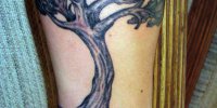 татуировка дерево с корнями