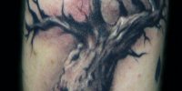 татуировка дерево без листьев