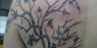 татуировка дерево у девушки на лопатке