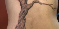 татуировка дерево с корнями у девушки на боку