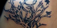 татуировка дерево с птицами на лопатке