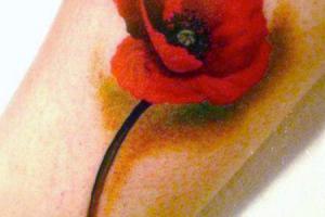 татуировка в стиле реализм цветок мака