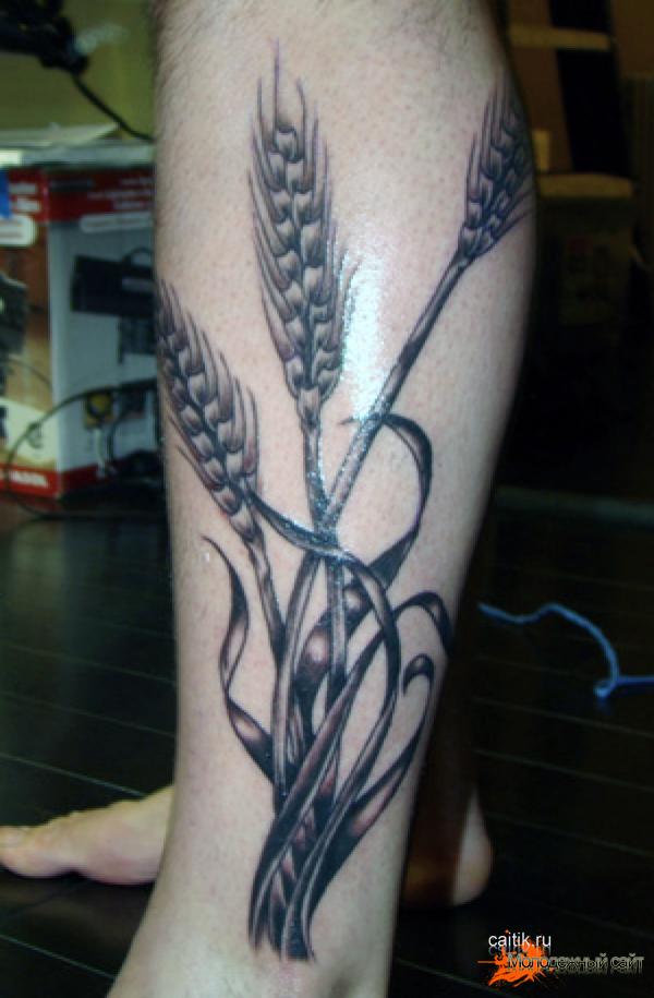 татуировка на икре колосья пшеницы