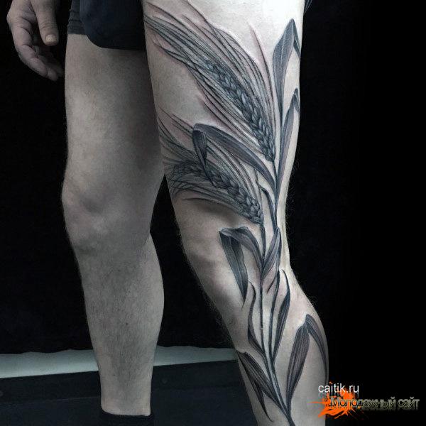 большая татуировка пшеницы на ноге мужчины