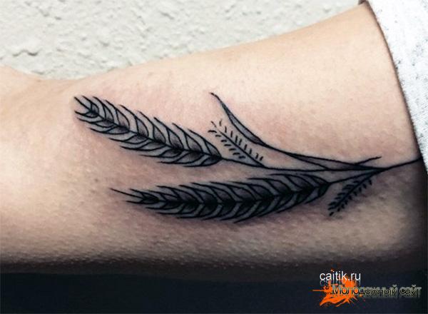 татуировка колоски пшеницы