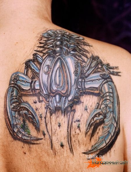 татуировки скорпионов