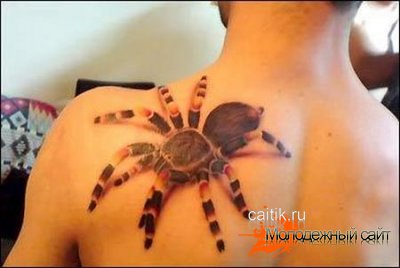 татуировка паука на лопатке