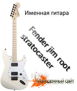 Fender jim root stratocaster