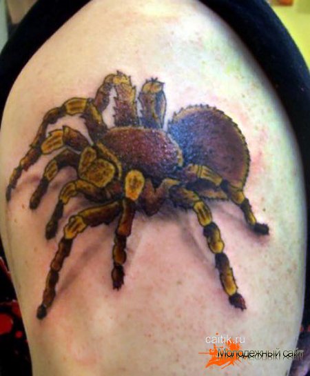 татуировка паука на плече
