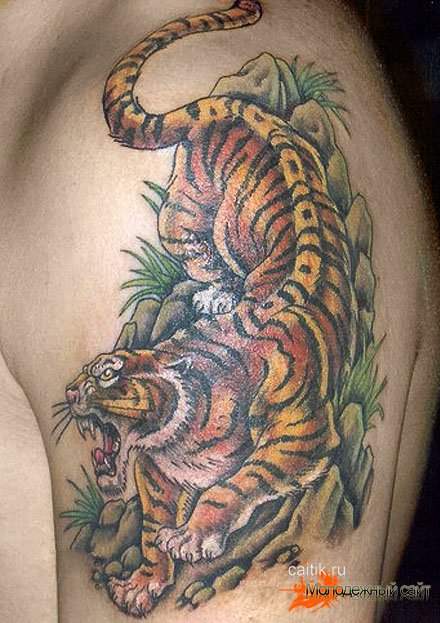 Основные значения тату тигра :: витамин-п-байкальский.рф
