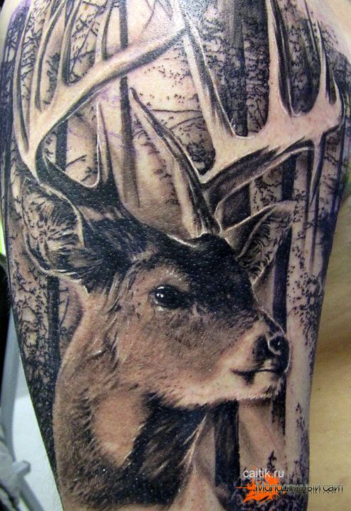 татуировка олень