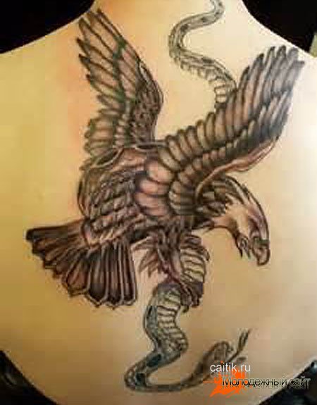 татуировка орел схвативший змею