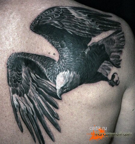 черно-белая татуировка парящий орел на спине