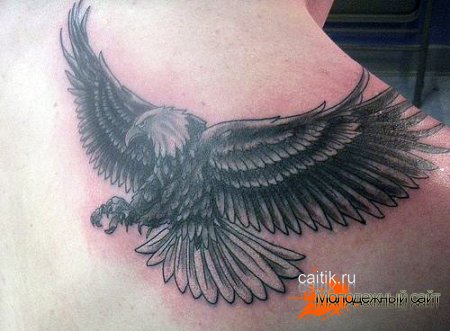 парящий орел на спине татуировка