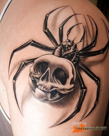 татуировка паук с черепом