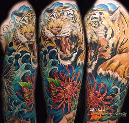 татуировка хризантема с тигром
