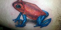 татуировка красная лягушка