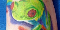 татуировка лягушка