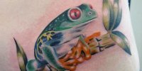 татуировка зеленая лягушка