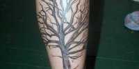 татуировка дерево на ноге