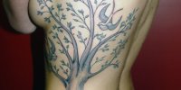 красивая татуировка дерево у девушки