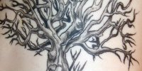 татуировка дуб