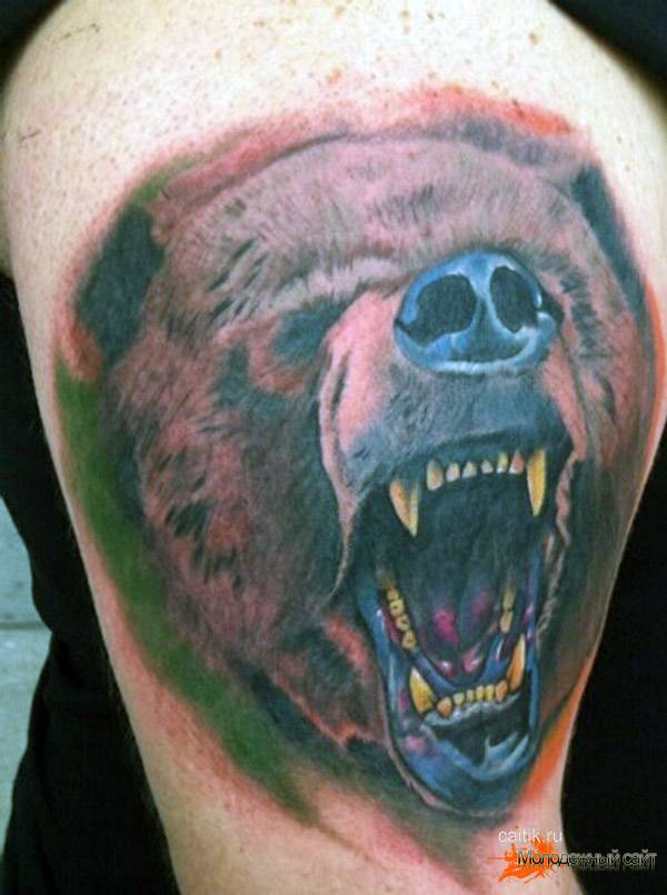 Celtic Bear | Изображения медведей, Кельтский, Татуировки медведя